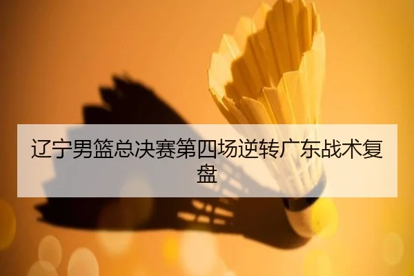 liao-ning-nan-lan-zong-jue-sai-di-si-chang-ni-zhuan-guang-dong-zhan-shu-fu-pan-2-802.jpg